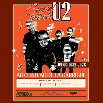 CONCERT TRIBUTE U2 LEGEND
